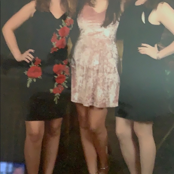 Honey and Rosie small - Picture 5 of 8